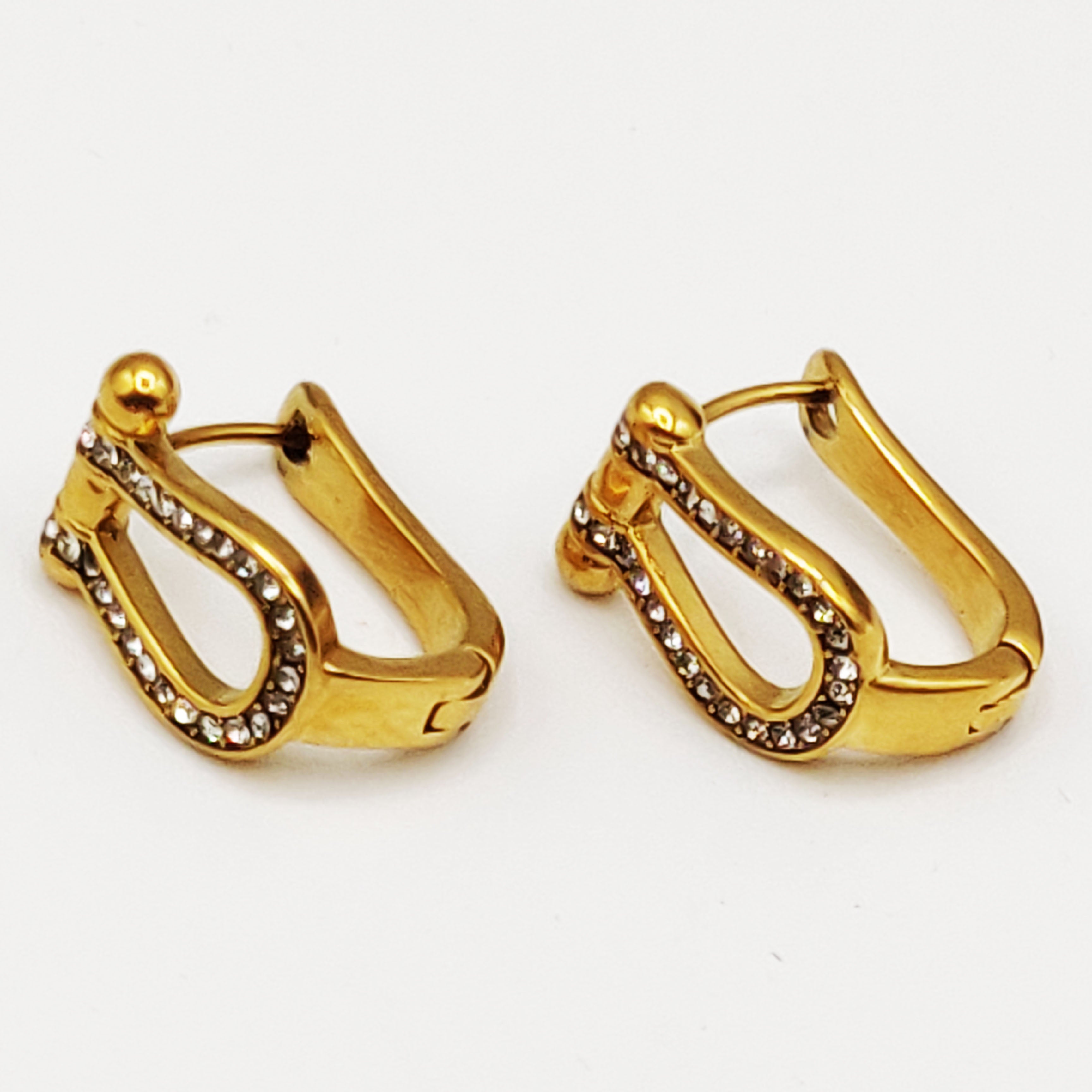 Boucles d'oreilles Strength Cristaux Luxe